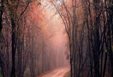 邮报:移居德国后,凯恩被迫降价出售自己的右舵宾利欧陆GT.