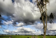 C7娱乐官网:7万观众,创造的不仅是上座纪录.