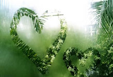 C7娱乐官网:记者:沙特射门但凡好点也是7比0 集训20天不如让国脚多踢轮中超.